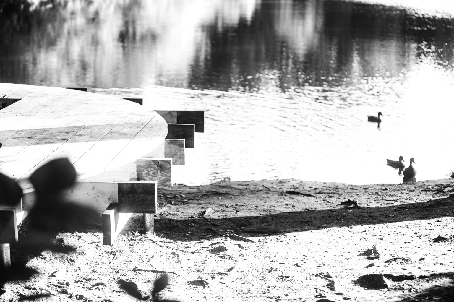 Mood for Wood Birdwatching Platform
